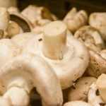 Kaj se zgodi, če ocvremo mokre gobe: zakaj se spremenijo v gumijasto enolončnico in ne v zlato poslastico kaj-se-zgodi-ce-ocvremo-mokre-gobe-zakaj-se-spremenijo.jpg