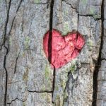 Zakaj so v paru potrebne osebne meje: če ljubezen ni združitev v en organizem zakaj-so-v-paru-potrebne-osebne-meje-ce-ljubezen-ni.jpg